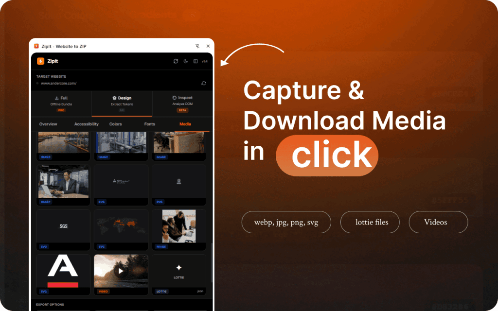 ZipIt — Extract Code, Colors, Fonts & Assets from Any Website screenshot 5