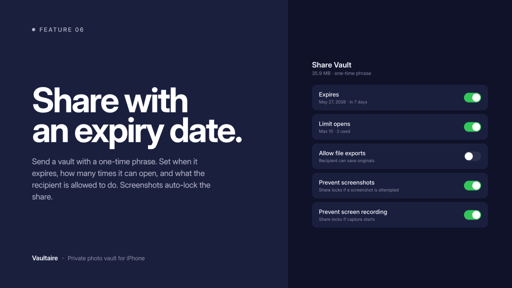 Vaultaire screenshot 6