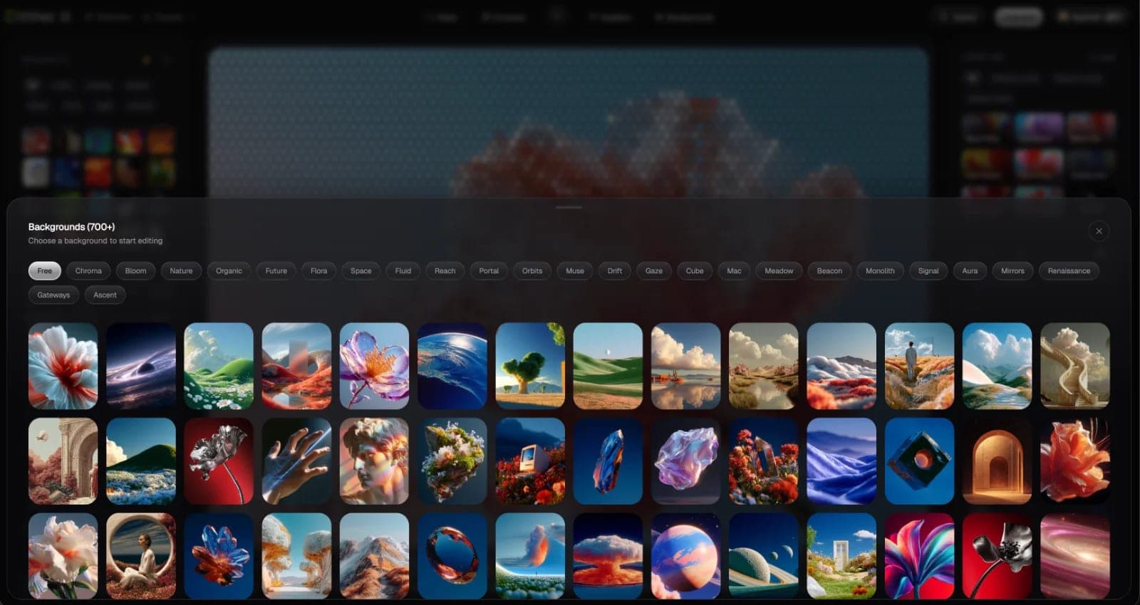 Ditther screenshot 2 of 4