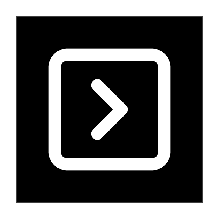 LLM System Prompts logo