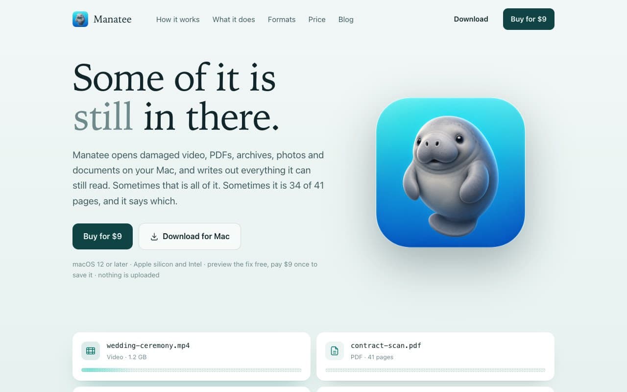 Manatee - Get back what is still in a damaged file