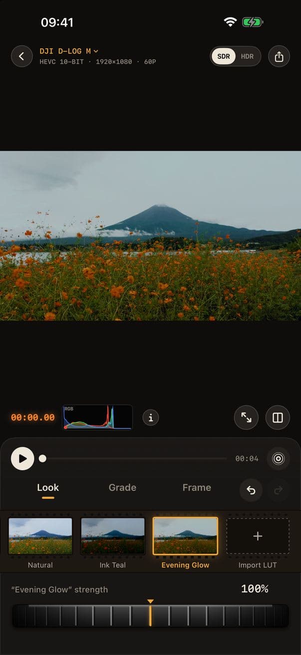 Develop Log: Color Grading - Describe a look — AI grades your Log