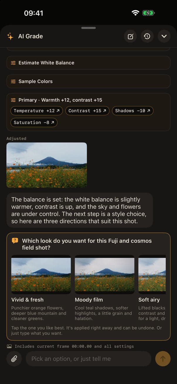 Develop Log: Color Grading screenshot 2 of 2